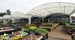 Squires Long Ditton garden centre plant area